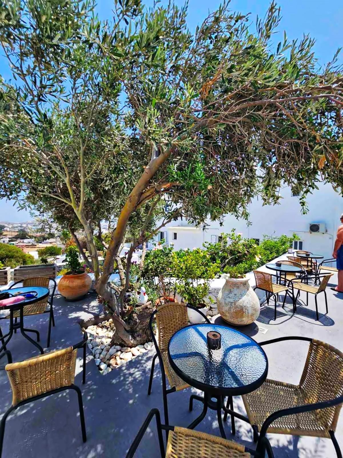 Appartamento Mykonian Breeze Ano Mera Esterno foto