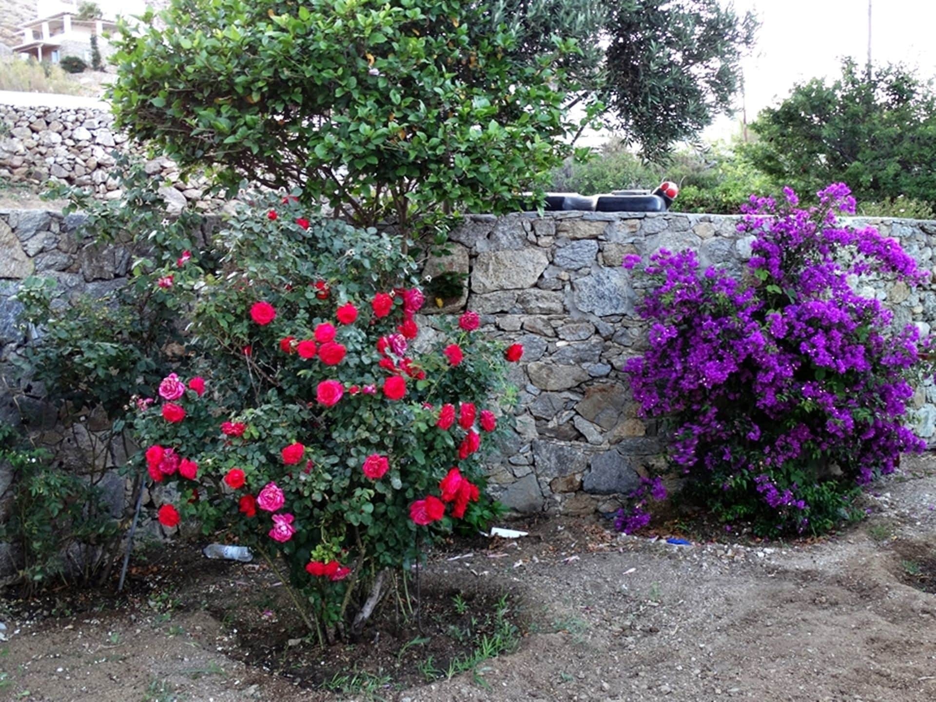 Appartamento Mykonian Breeze Ano Mera Esterno foto